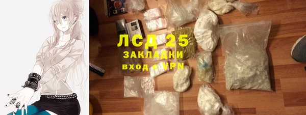 прущие грибы Армянск