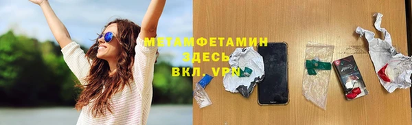 прущие грибы Армянск