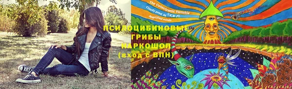 индика Арсеньев