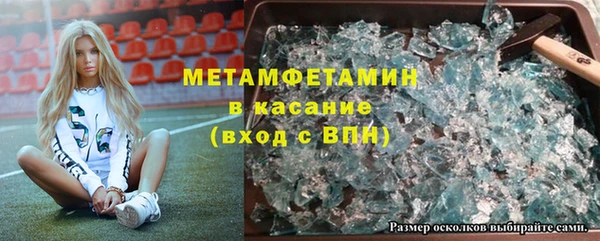 индика Арсеньев