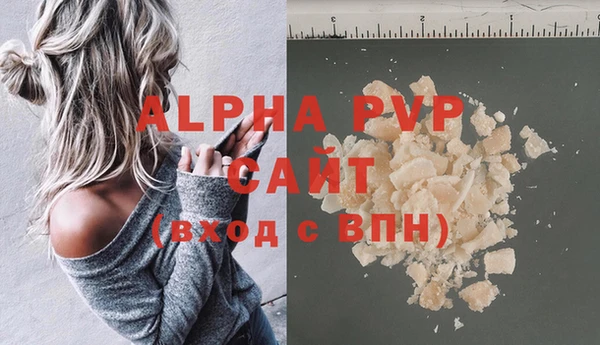 прущие грибы Армянск