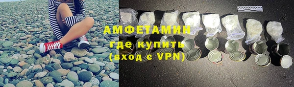 индика Арсеньев
