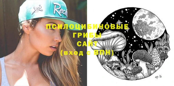 прущие грибы Армянск