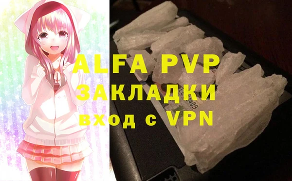 индика Арсеньев