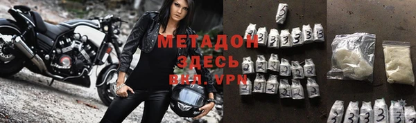 индика Арсеньев
