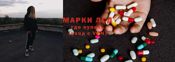 прущие грибы Армянск