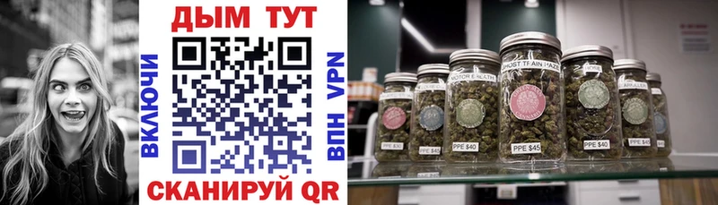 Каннабис Ganja закладка Армянск